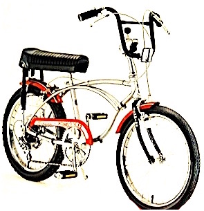 schwinn hurricane