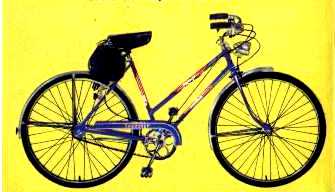 1954 schwinn traveler for girls