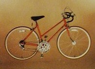 1979 schwinn approved traveler girls